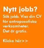 S&ouml;k jobb